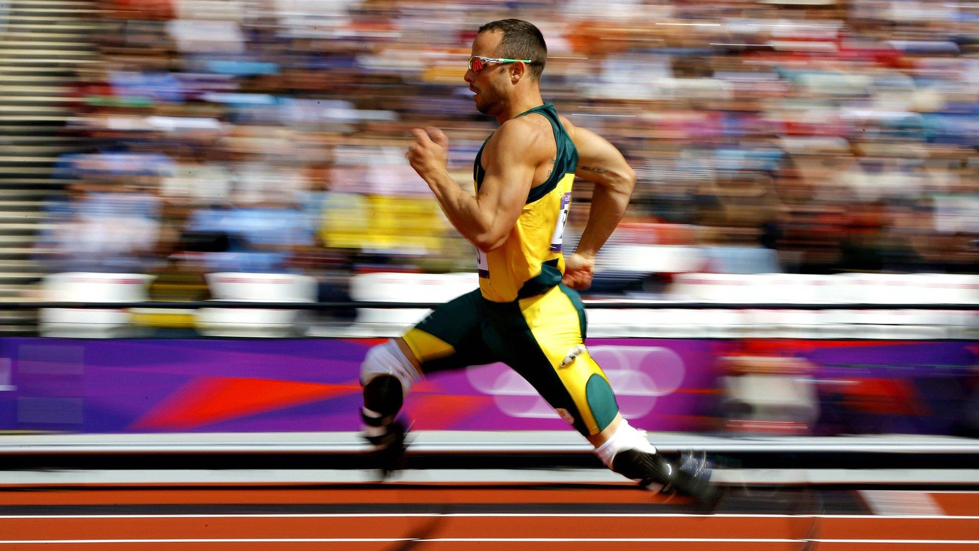 世界铁人三项倒计时赛，速度、耐力与毅力的极致展示，世界铁人三项标准