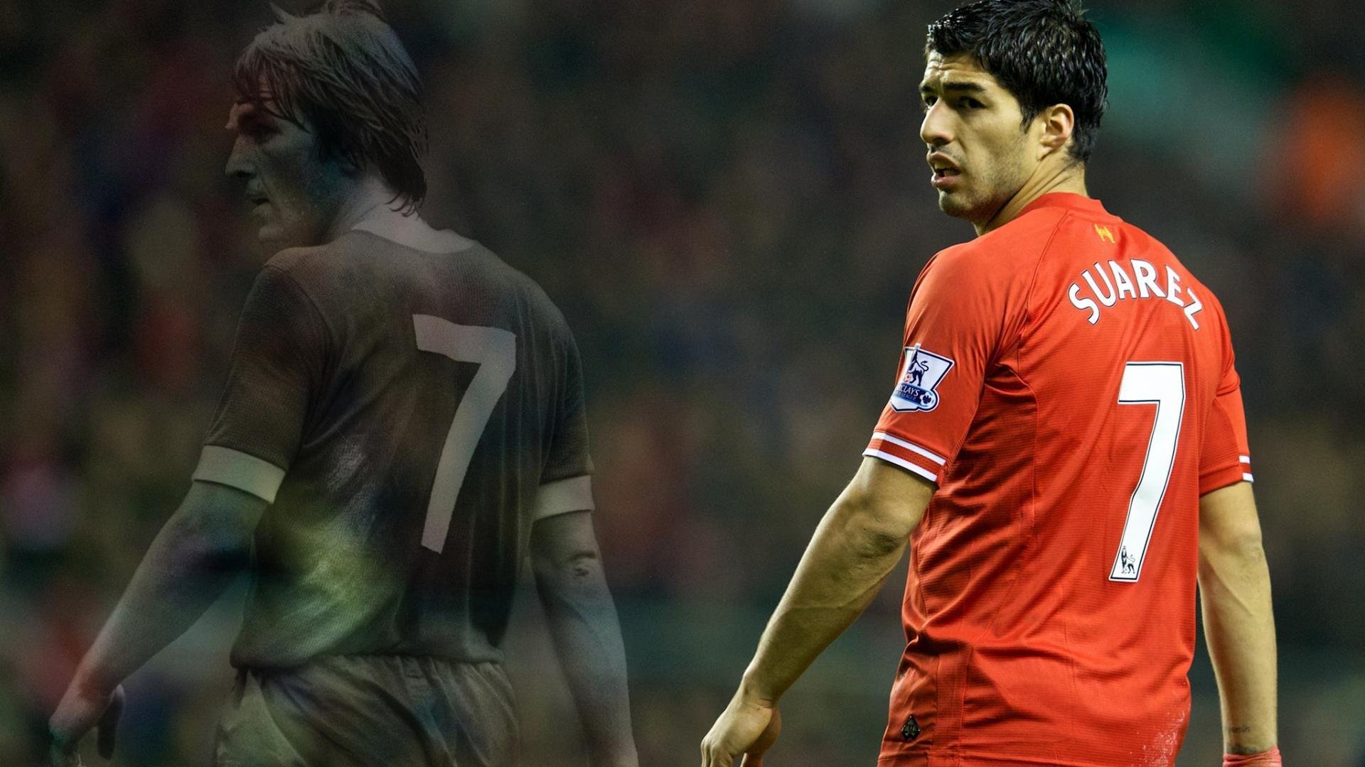 爱游戏官方-克罗地亚马术协会设立马匹福利基金，支持马匹退休生活。，克罗地亚马米奇